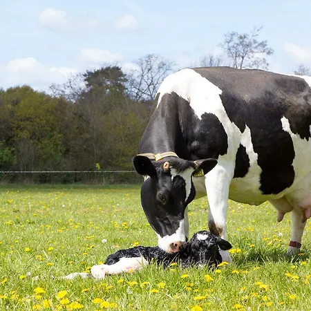 Biotel Achterhoek 3* Lievelde