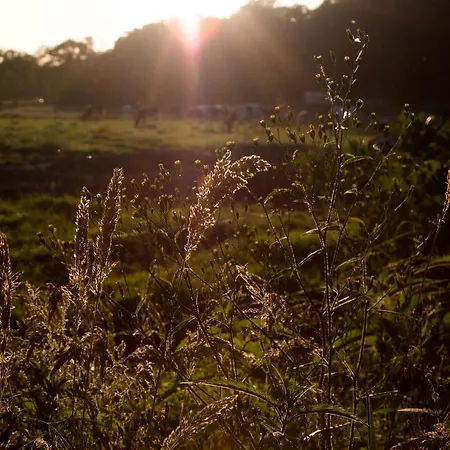 Hotel Biotel Achterhoek 3*