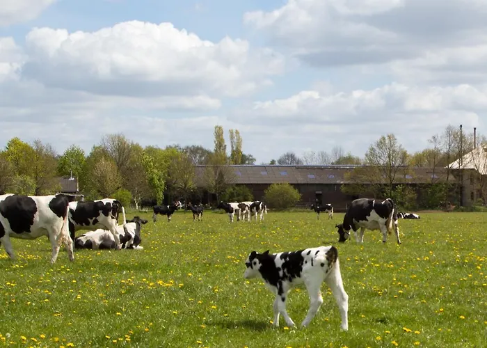 Biotel Achterhoek 3* Lievelde