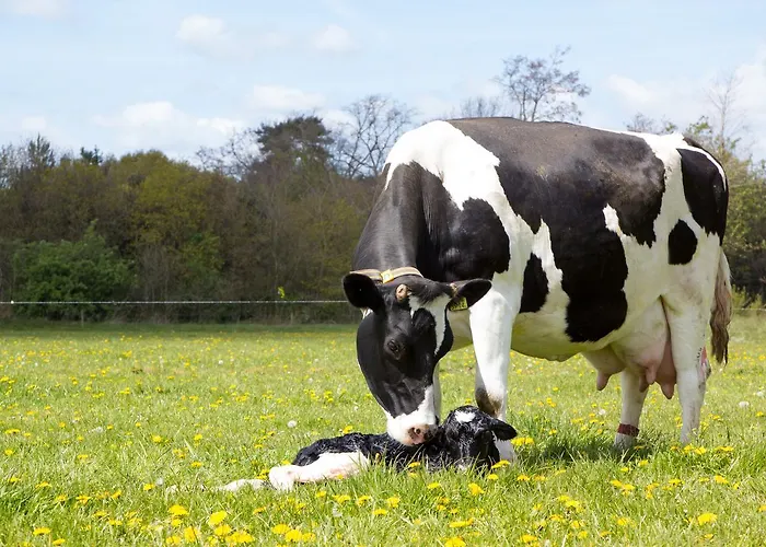 Biotel Achterhoek 3* Lievelde