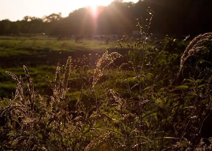 Otel Biotel Achterhoek 3*