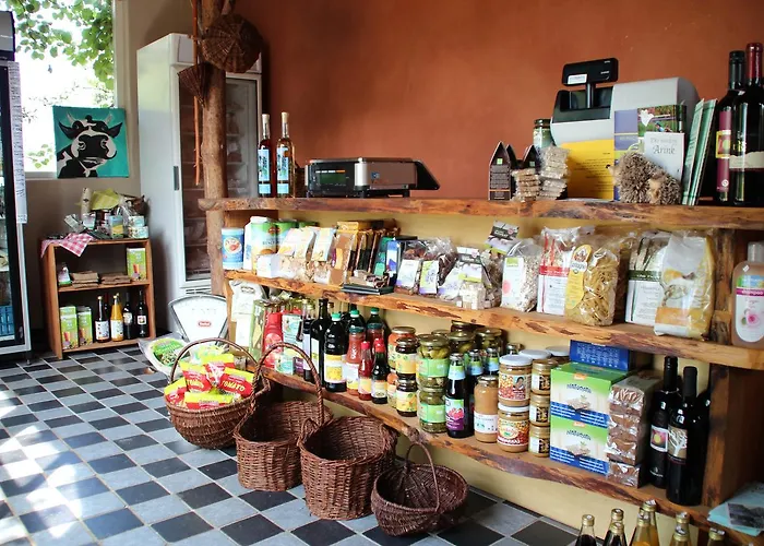 Biotel Achterhoek 3* Lievelde